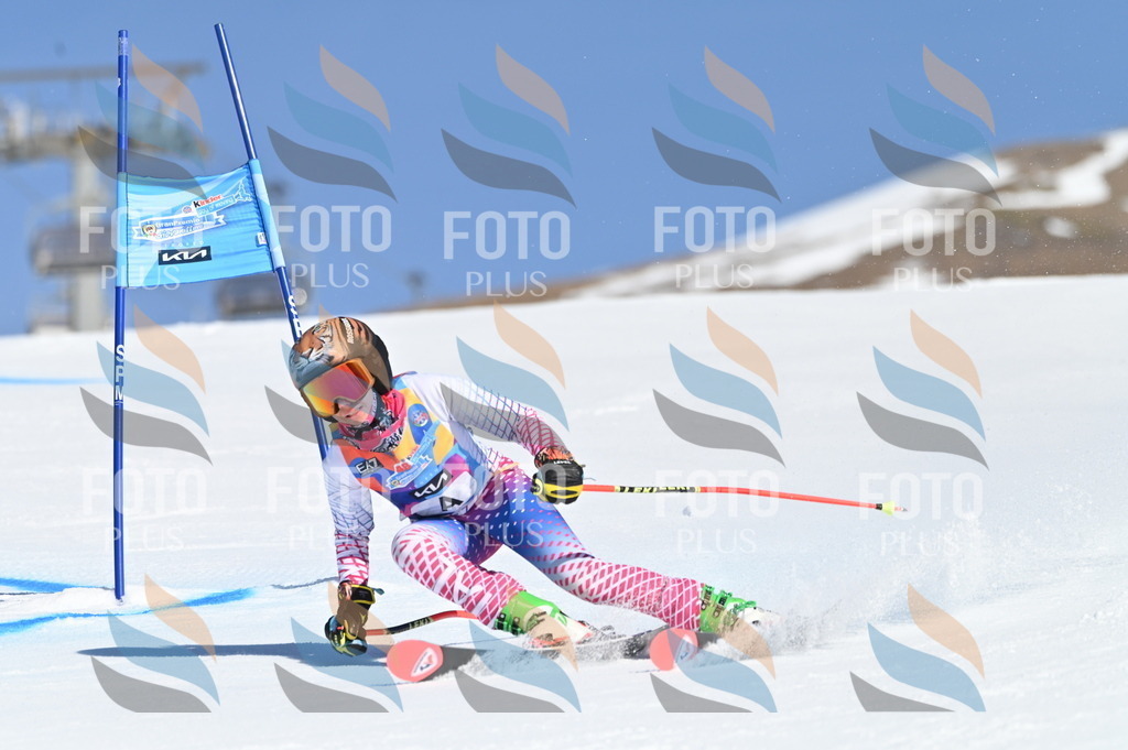 BGV_7550 | holidayphoto