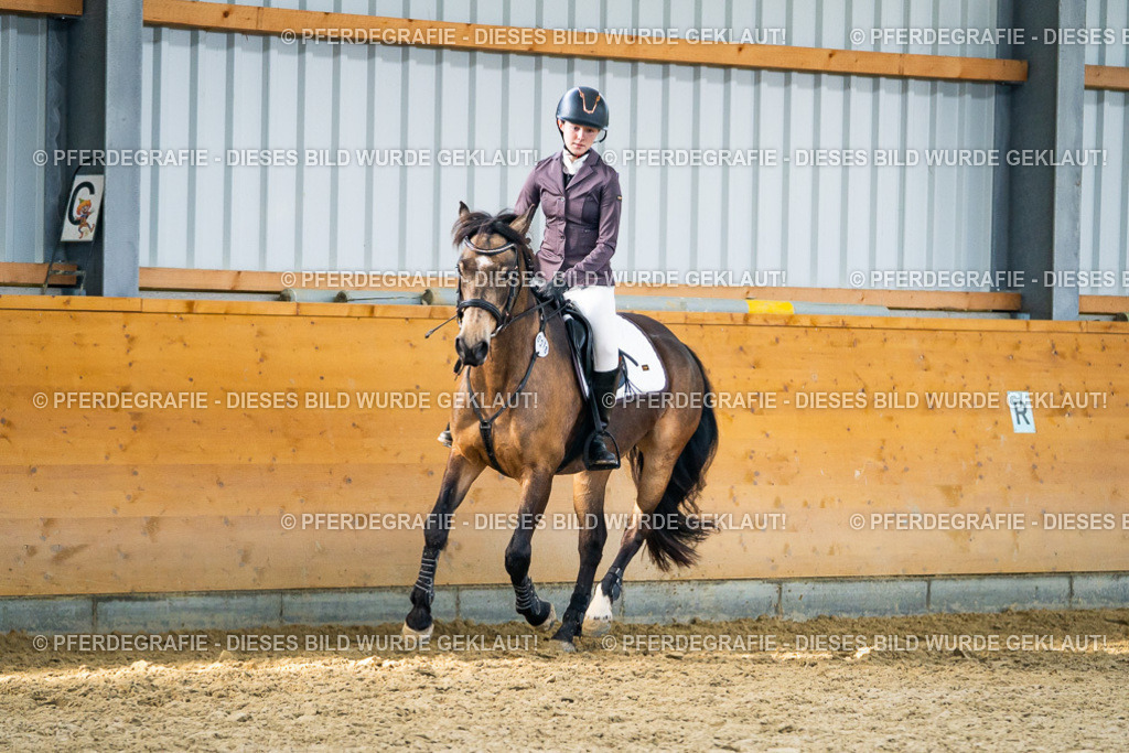 DSC01166 | Pferdegrafie