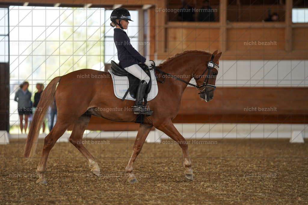 20240824-FAH07167 | Thierhaupten 2024, Bayerisches Landesponyturnier, Turnierbilder, Ponybilder, Turnierfotografen Bayern, Fotoagentur Herrmann