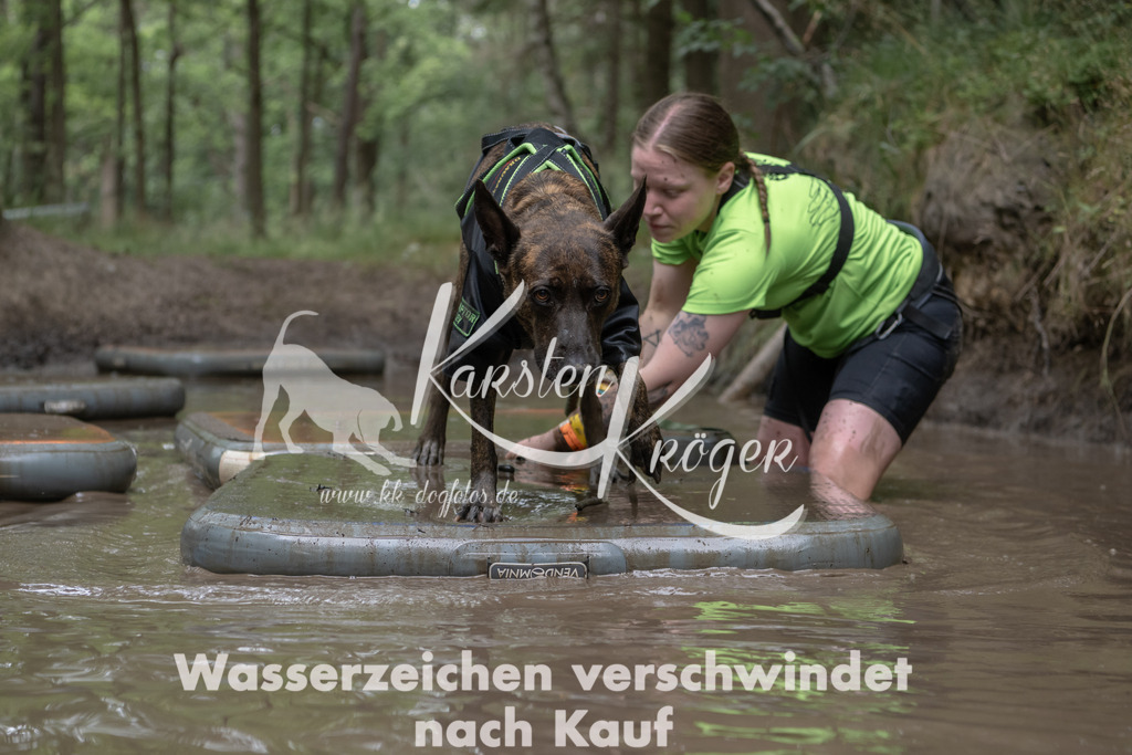 1339_ZZ95271 | kk-dogfotos