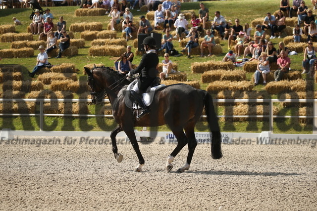 Birkhof_2022_GrandPrixSpecial_Franziska Stieglmaier_DSP Dauphin (14) | Alle Fotos der Reiterjournal Fotografin Doris Matthaes im Reiterjournal Online-Fotoshop. - Realisiert mit Pictrs.com
