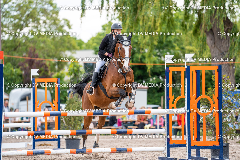 Eppelheim Tag 2-554 | dv-media-shop - Realisiert mit Pictrs.com