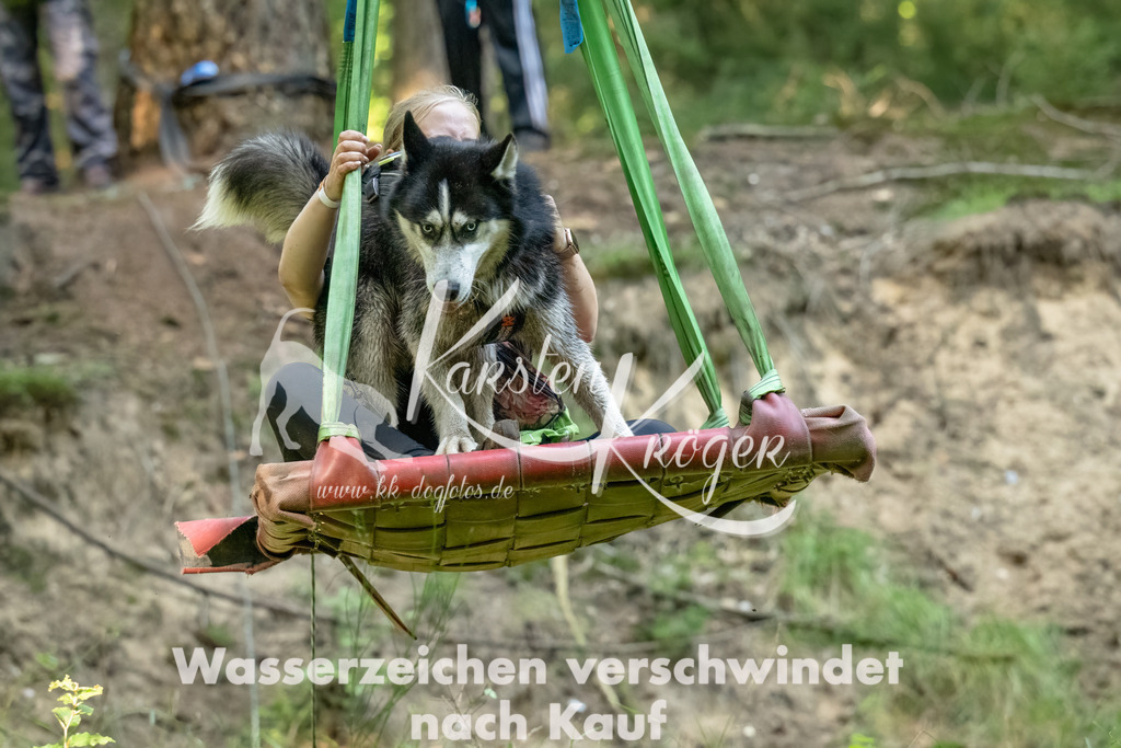 1449_ZZ90915-Bearbeitet-2 | kk-dogfotos