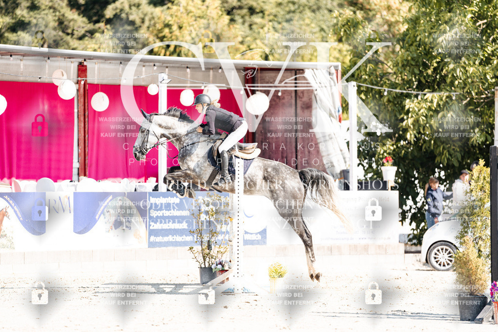CK902630 | Turnierfotografie Pferdefotografie Trier Rheinland-Pfalz Pferdesport Reitsport Tierfotografie Sportfotografie Pferdevideo Pferdevideografie Equestrianvideography equestrianphotography  - Realisiert mit Pictrs.com