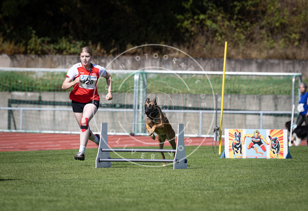 Pfotenfotografie_DV3A8692 | Hundefotografie, Tierfotograf, Pfotenfotografie, Fotoshooting Hund, Hunde Portrait, Hundesport, Hundeportraits, Heideshooting, Hunde, Sportfotograf, Hundefotograf, Turnierhundsport, THS,  - Realisiert mit Pictrs.com
