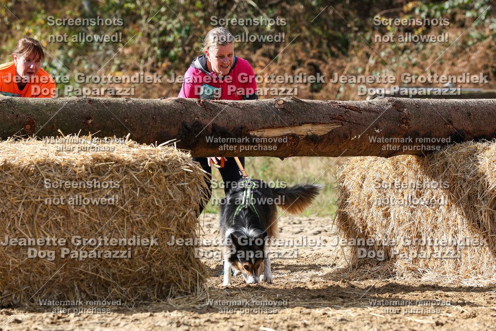 Dog Paparazzi - Strongdog 10-25-4998 | Dog Paparazzi Jeanette Grottendiek Fotografie & Videografie - Realisiert mit Pictrs.com