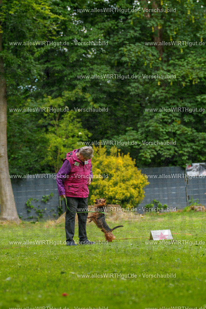 @allesWIRTHgut_Tierfotografie - www.allesWIRTHgut.de - 131011-7R509886 | Professionelle Tierfotografie in Mönchengladbach von Daniel Wirth (allesWIRTHgut). Liebevolle & natürliche Bilder von Hunden & Katzen für unvergessliche Erinnerungen.