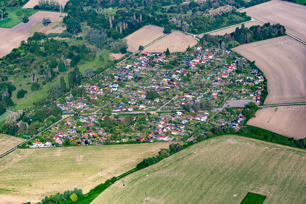 Luftbild: Kleingärtner Kugelfang in Speyer im Bundesland Rheinland-Pfalz in Deutschland. Foto: IMG_114252.jpg vom 26.05.2019 durch Werner Riehm/FLY-FOTO.de