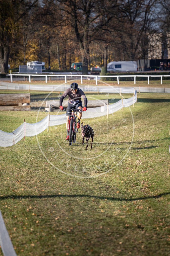CaniXpix_DV3A2361 | Hundefotografie, Tierfotograf, Pfotenfotografie, Fotoshooting Hund, Hunde Portrait, Hundesport, Hundeportraits, Heideshooting, Hunde, Sportfotograf, Hundefotograf, Turnierhundsport, THS,  - Realisiert mit Pictrs.com