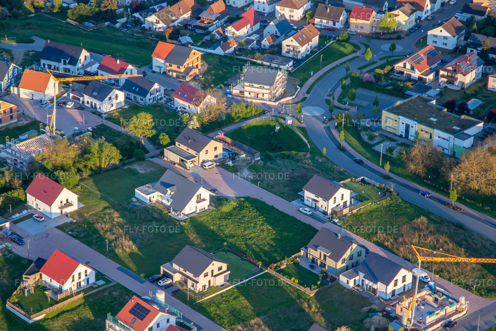 Luftbild: Holunderweg in Kandel im Bundesland Rheinland-Pfalz in Deutschland. Foto: IMG_140363.jpg vom 23.04.2024 durch Werner Riehm/FLY-FOTO.de