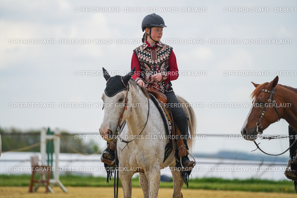 DSC06728 | Pferdegrafie