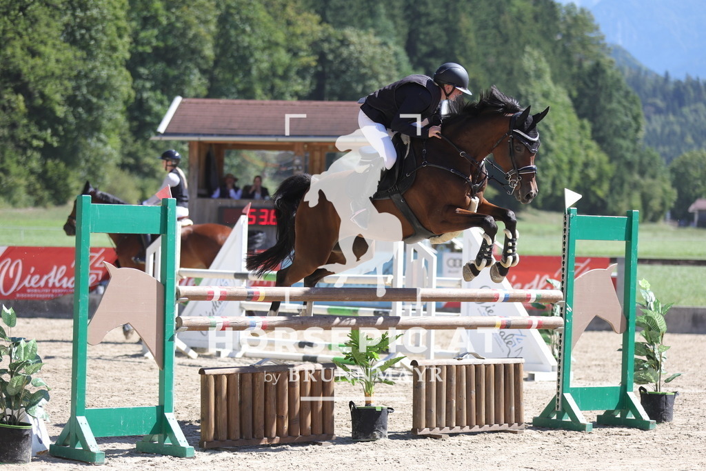 0P6A6373 | Willkommen bei Brunnmayr - Design & Fotografie – Ihrem Spezialisten für Reitturniere und Pferdeveranstaltungen in Oberösterreich, Salzburg und Bayern! Seit über 17 Jahren sind wir leidenschaftlich dabei.