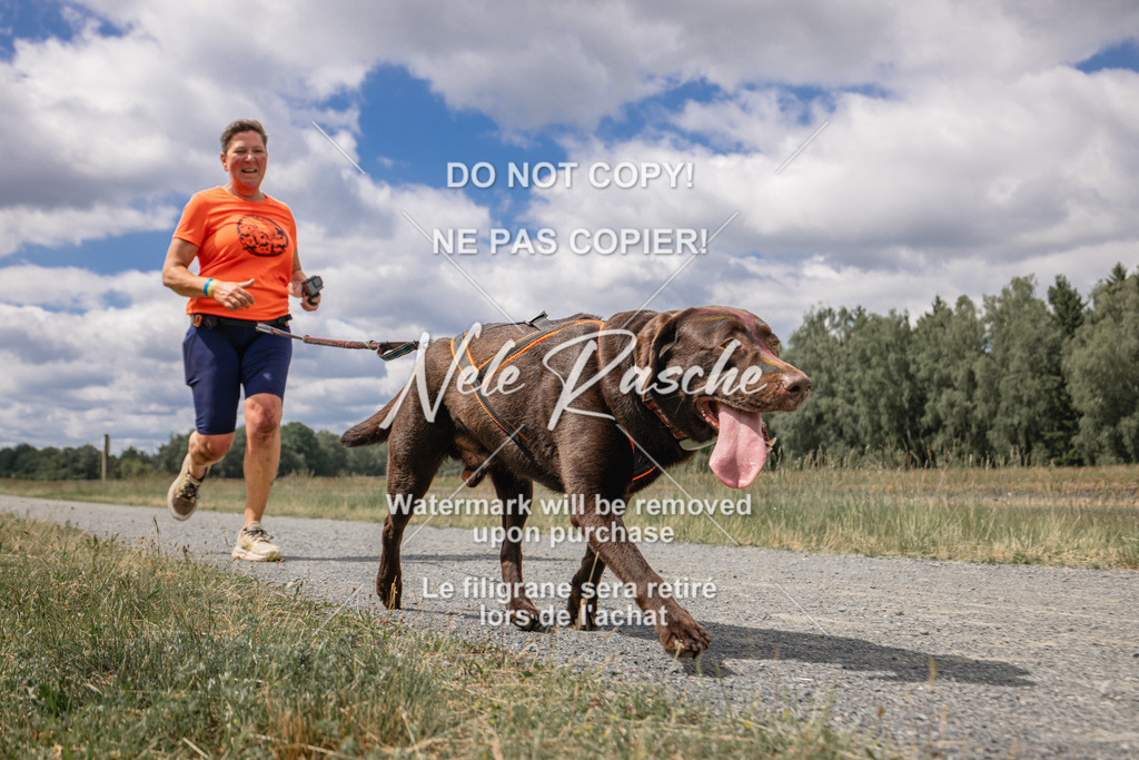 nelerasche_BuHu2026_SaCC1100-1200_190 | nelerasche