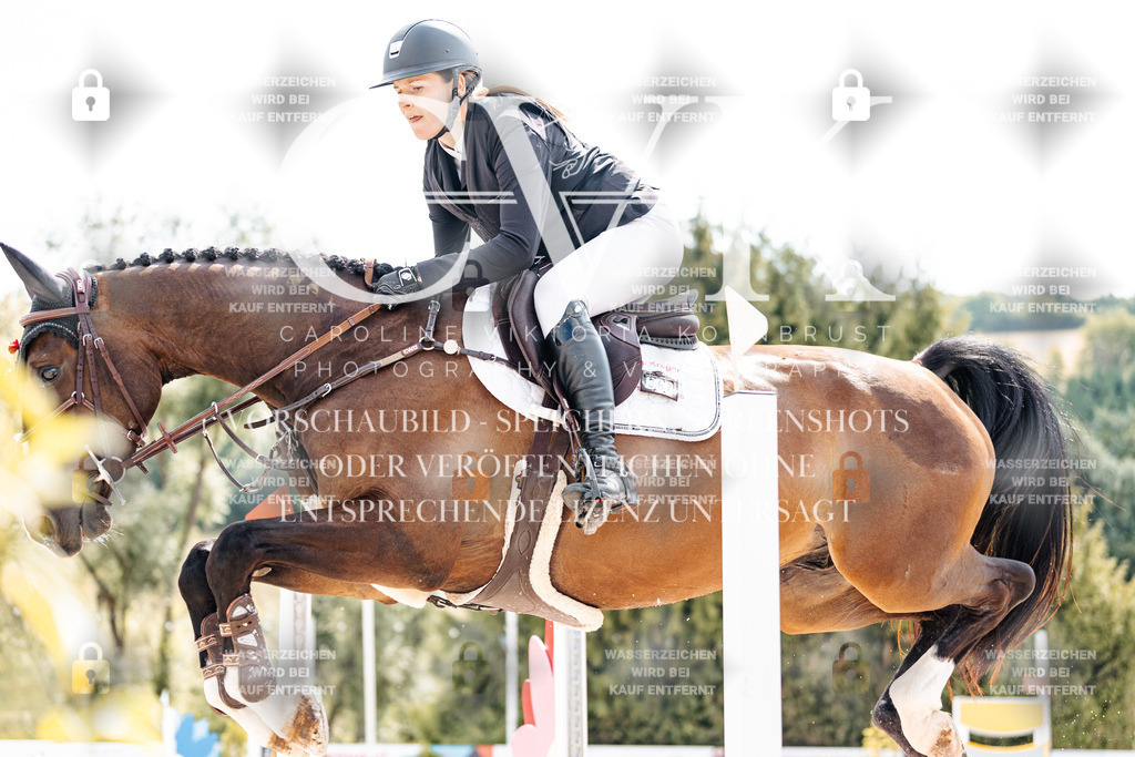 CK909062 | Turnierfotografie Pferdefotografie Trier Rheinland-Pfalz Pferdesport Reitsport Tierfotografie Sportfotografie Pferdevideo Pferdevideografie Equestrianvideography equestrianphotography  - Realisiert mit Pictrs.com