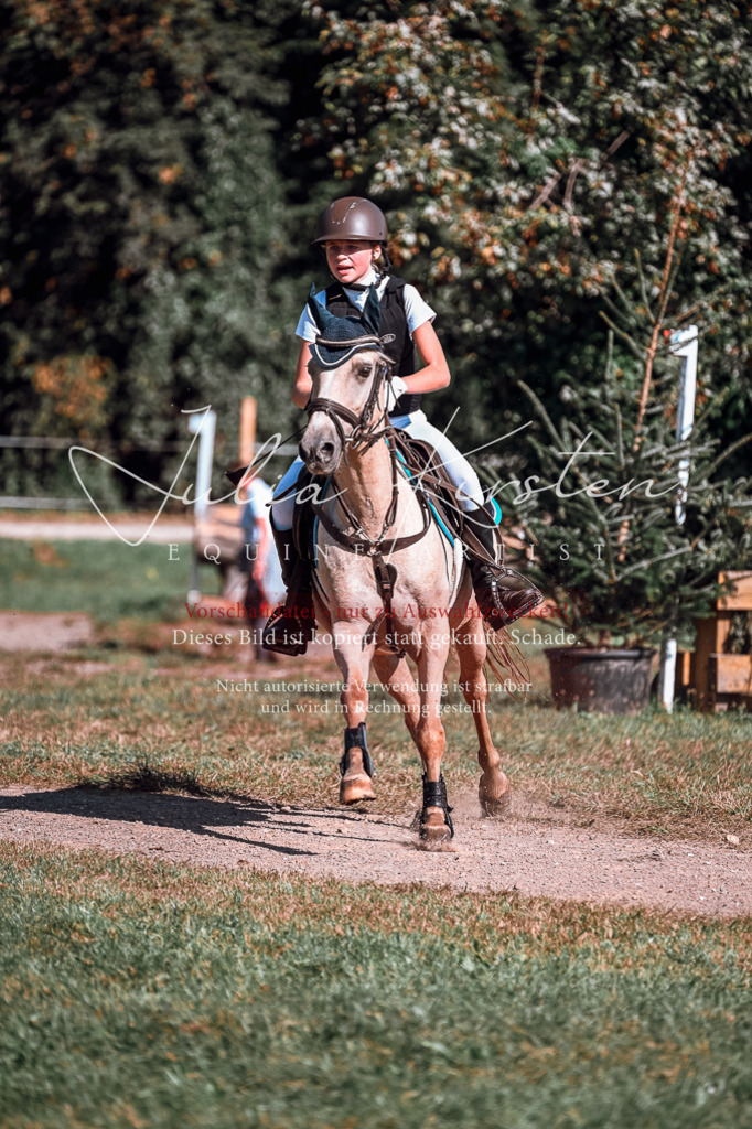 DSC_1071 | Pferde- und Turnierfotografie in Westsachsen. Pferdeportraits, Auftragszeichnungen und intuitive Kunst.