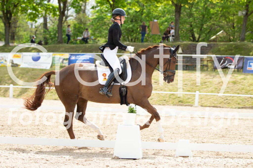 IMG_2319 | Creatify Fotografie