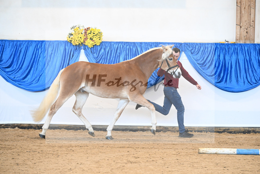 Kat-Nr. 3 Avalanche v. Ace of Hearts_Anger_48250809 | hf-fotografie - Realisiert mit Pictrs.com