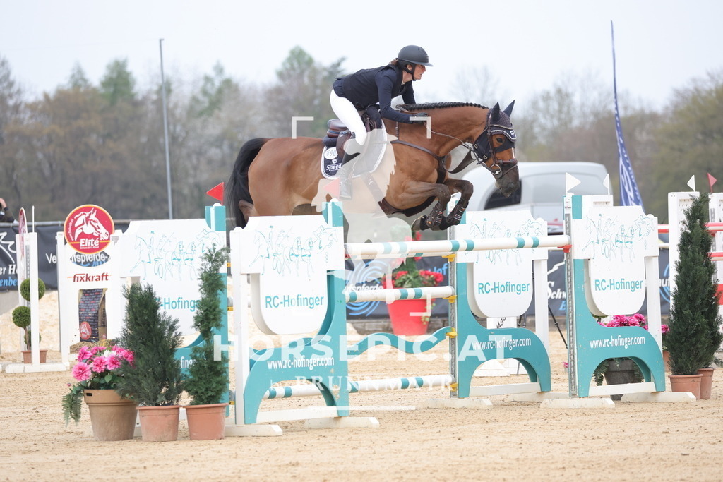 0P6A7653 | Willkommen bei Brunnmayr - Design & Fotografie – Ihrem Spezialisten für Reitturniere und Pferdeveranstaltungen in Oberösterreich, Salzburg und Bayern! Seit über 17 Jahren sind wir leidenschaftlich dabei.