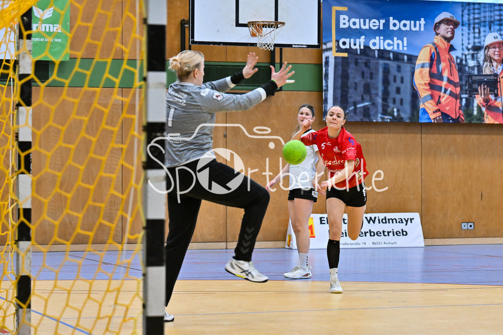 TSV Aichach - TSG Würm Mitte 22 | Wurf Aichach 6