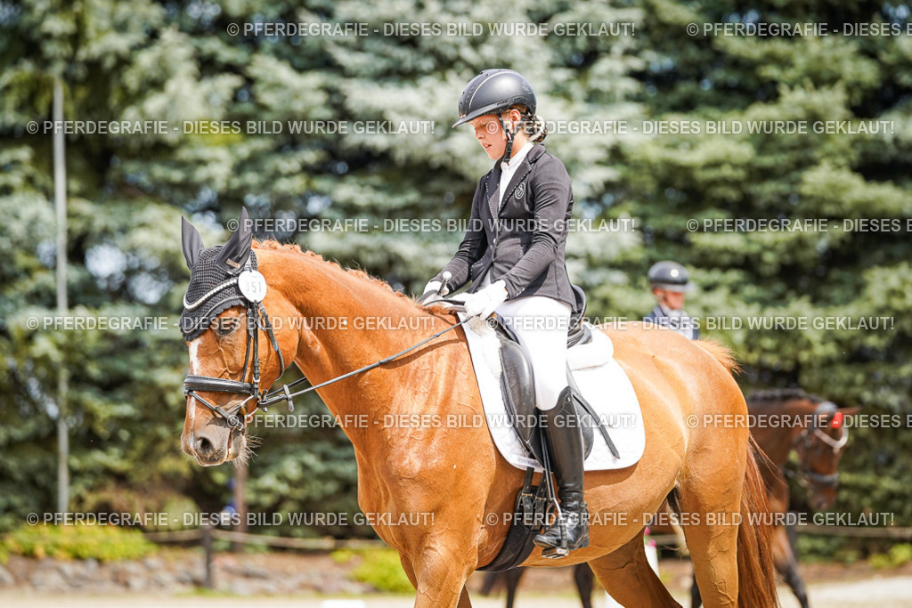 DSC03975 | Pferdegrafie