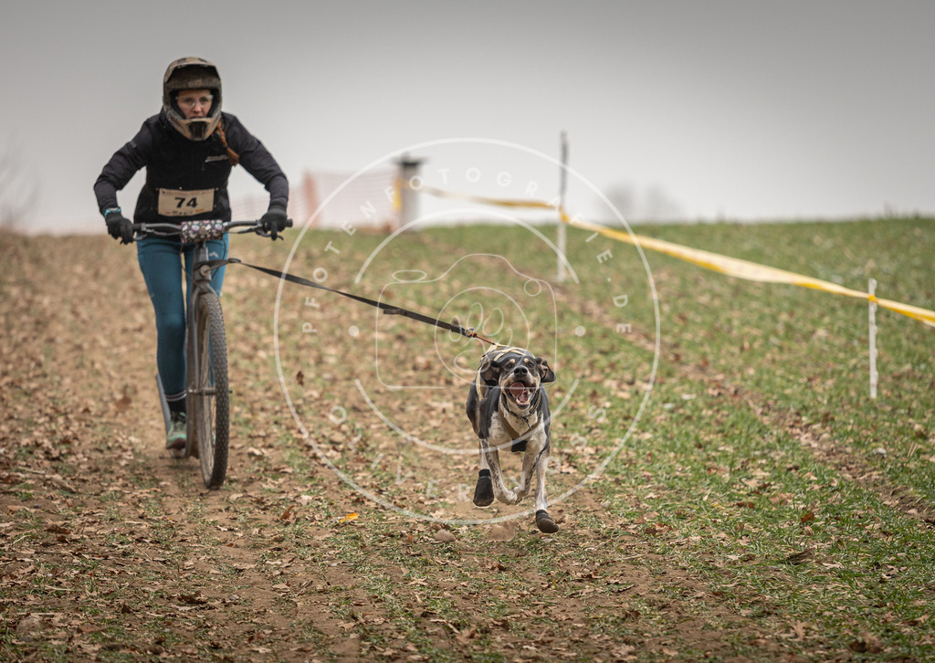 Pfotenfotografie_DV3A3659 | Hundefotografie, Tierfotograf, Pfotenfotografie, Fotoshooting Hund, Hunde Portrait, Hundesport, Hundeportraits, Heideshooting, Hunde, Sportfotograf, Hundefotograf, Turnierhundsport, THS,  - Realisiert mit Pictrs.com