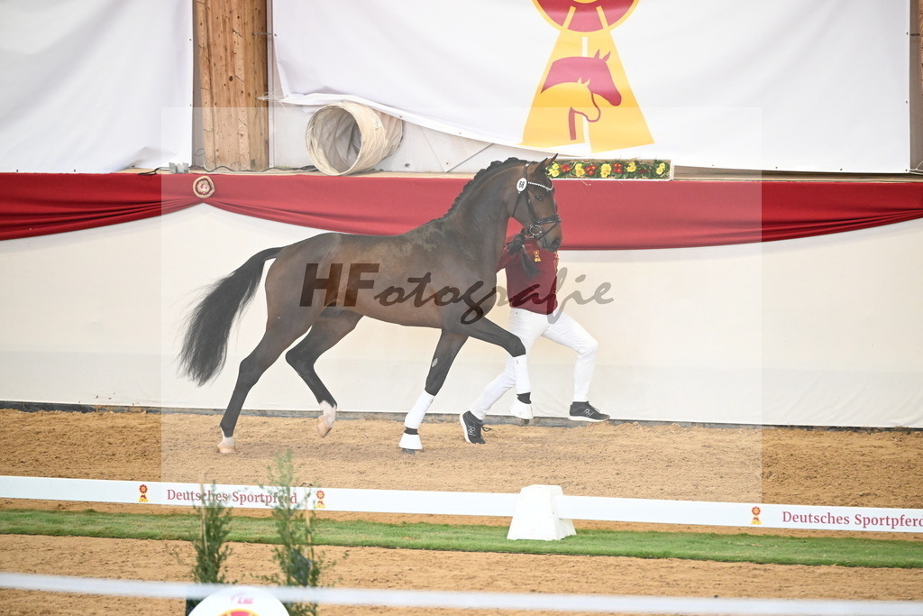 Kat.-Nr. 68 v. Fynch Hatton_Kampe_2250481 | hf-fotografie - Realisiert mit Pictrs.com