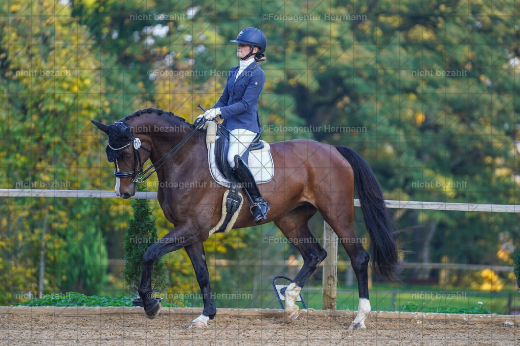 20221007-FAH00481 | Diessen am Ammersee, 2022, Dressur- und Springturnier, Reitsportbilder, Turnierfotografen Bayern, Pferdefotografen, Fotoagentur Herrmann, Turnierbilder