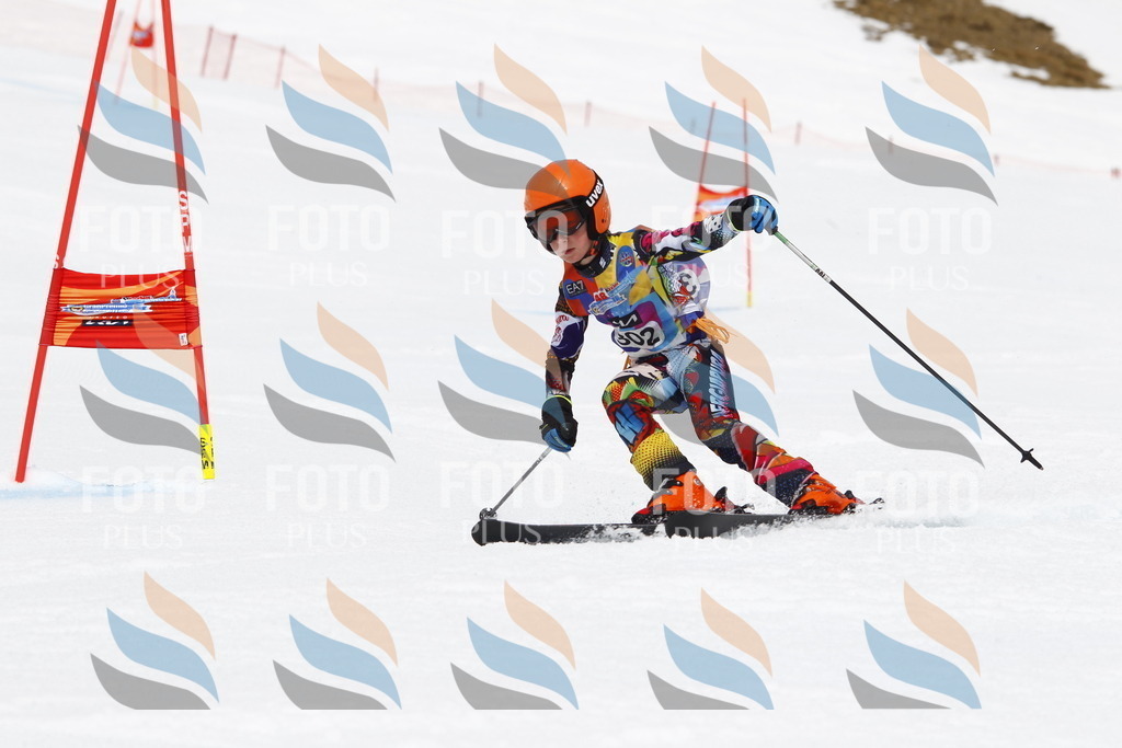 _U3G7526 | holidayphoto