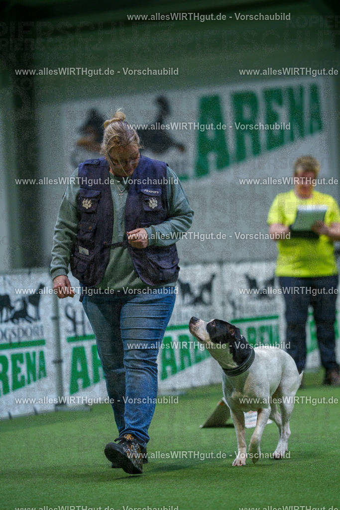 7R503010 | Professionelle Tierfotografie in Mönchengladbach von Daniel Wirth (allesWIRTHgut). Liebevolle & natürliche Bilder von Hunden & Katzen für unvergessliche Erinnerungen.