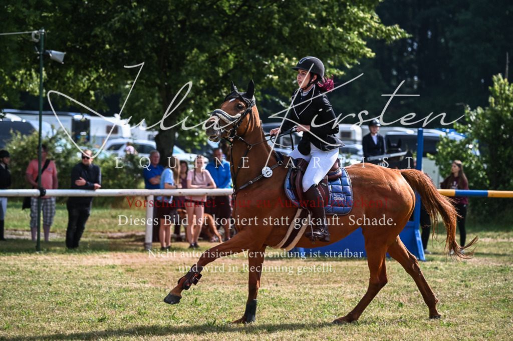 DSC_7831 | Pferde- und Turnierfotografie in Westsachsen. Pferdeportraits, Auftragszeichnungen und intuitive Kunst.