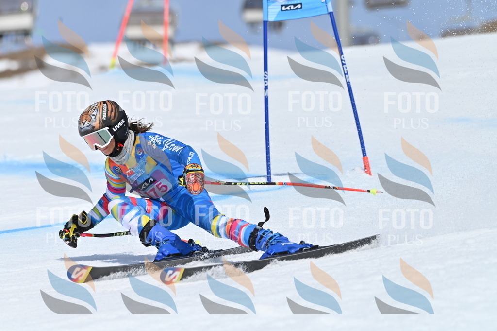 BGV_0529 | holidayphoto