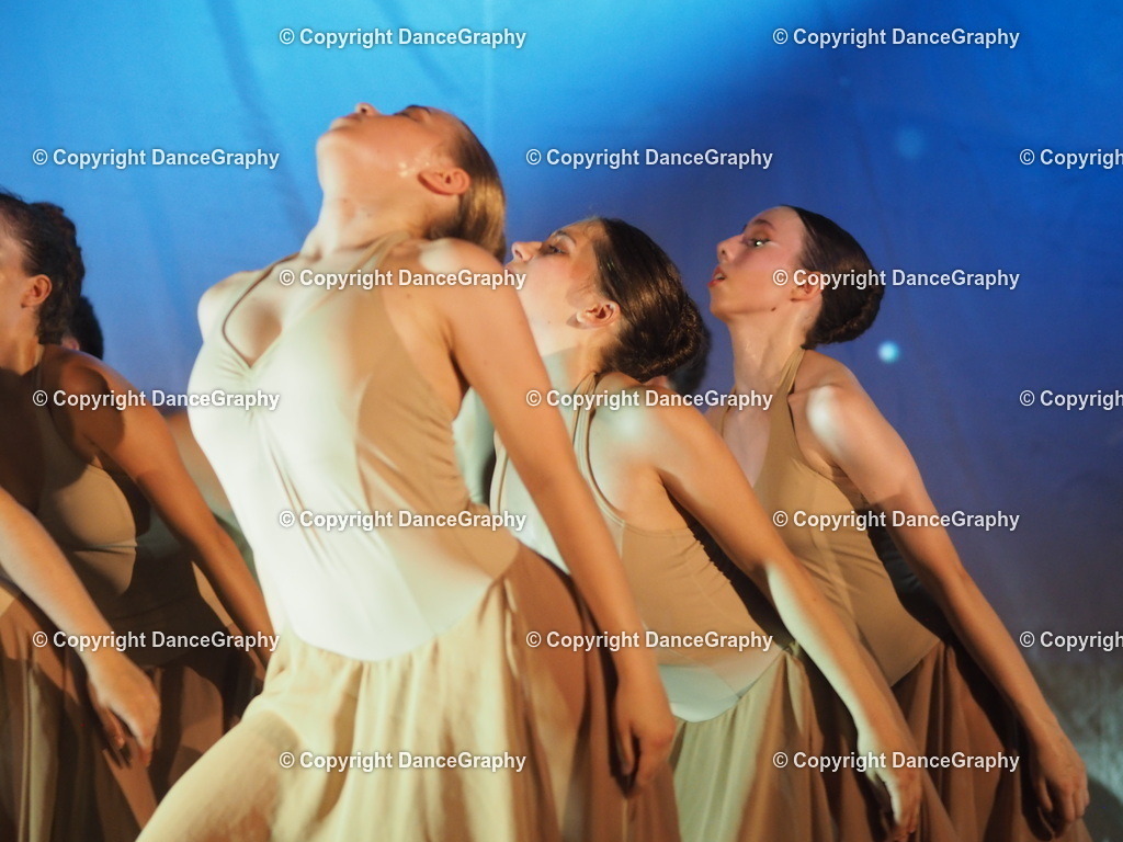 P6280230 | DanceGraphy - Realisiert mit Pictrs.com