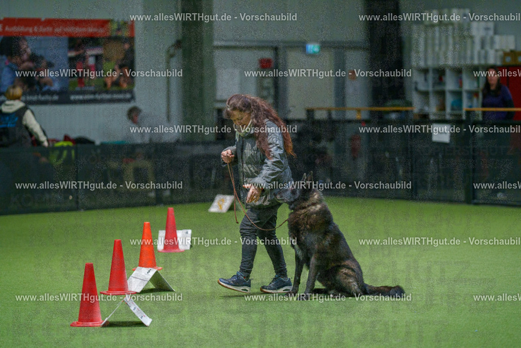 7R504975 | Professionelle Tierfotografie in Mönchengladbach von Daniel Wirth (allesWIRTHgut). Liebevolle & natürliche Bilder von Hunden & Katzen für unvergessliche Erinnerungen.