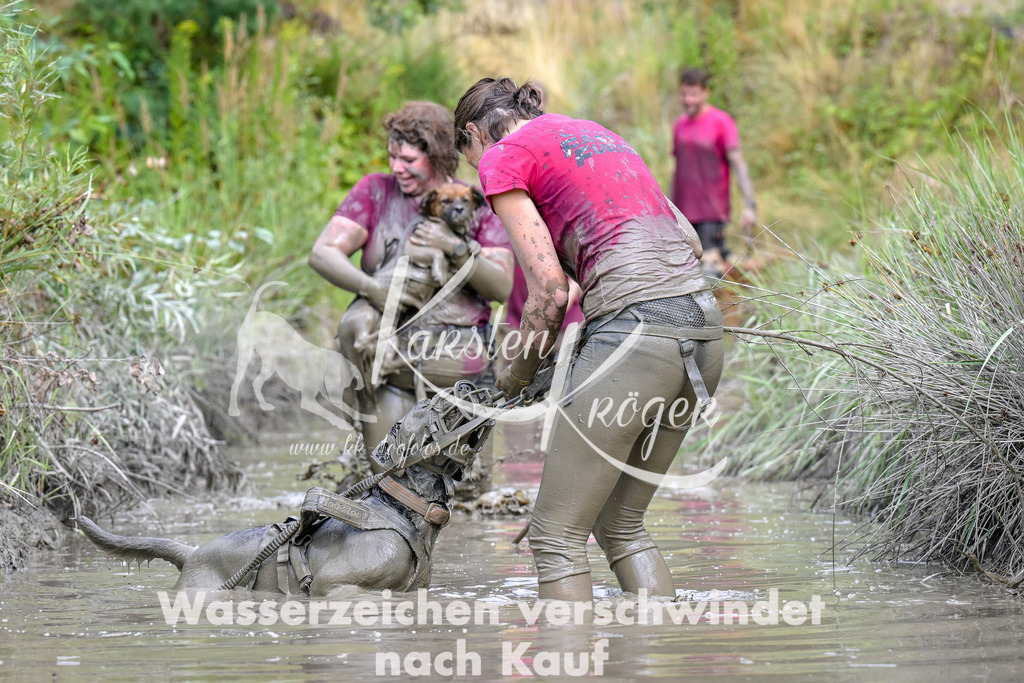 1612_ZZ94219 | kk-dogfotos