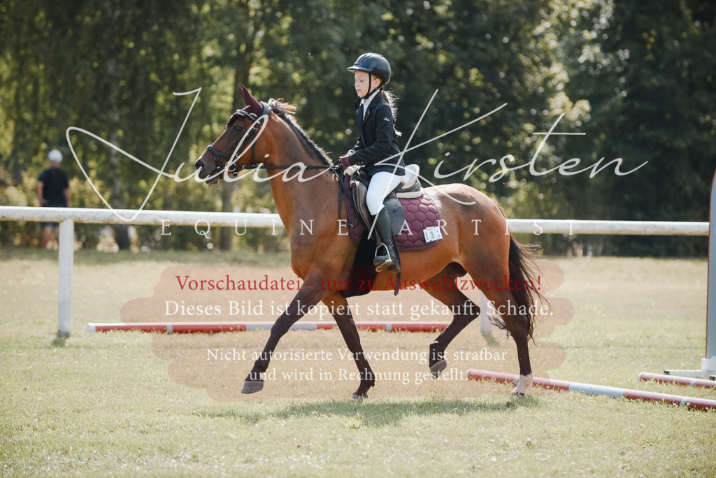 DSC_5412 | Pferde- und Turnierfotografie in Westsachsen. Pferdeportraits, Auftragszeichnungen und intuitive Kunst.