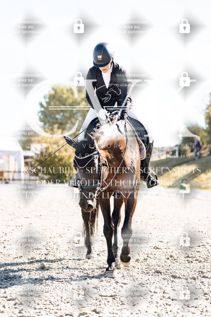 CK908760 | Turnierfotografie Pferdefotografie Trier Rheinland-Pfalz Pferdesport Reitsport Tierfotografie Sportfotografie Pferdevideo Pferdevideografie Equestrianvideography equestrianphotography  - Realisiert mit Pictrs.com