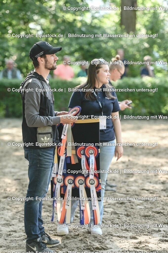 D78_3618 | equistock