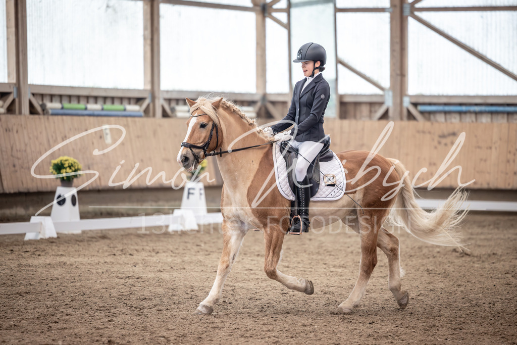 20251011-_3LI0520 | Tierfotografie Pferde, Hunde, Katzen, Haustiere.
Turnierfotografie Reitturniere, Reiten, Springreiten, Dressur in Hanau, dem Main-Kinzig-Kreis und dem Rhein-Main- Gebiet um Frankfurt