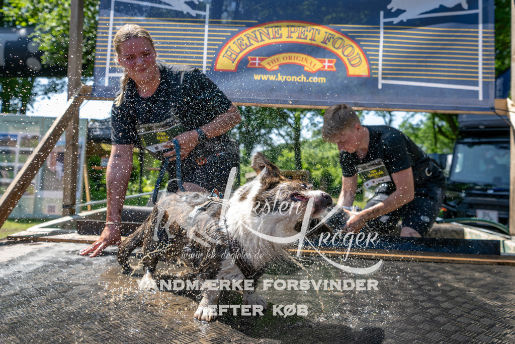 1237_ZZ91446 | kk-dogfotos