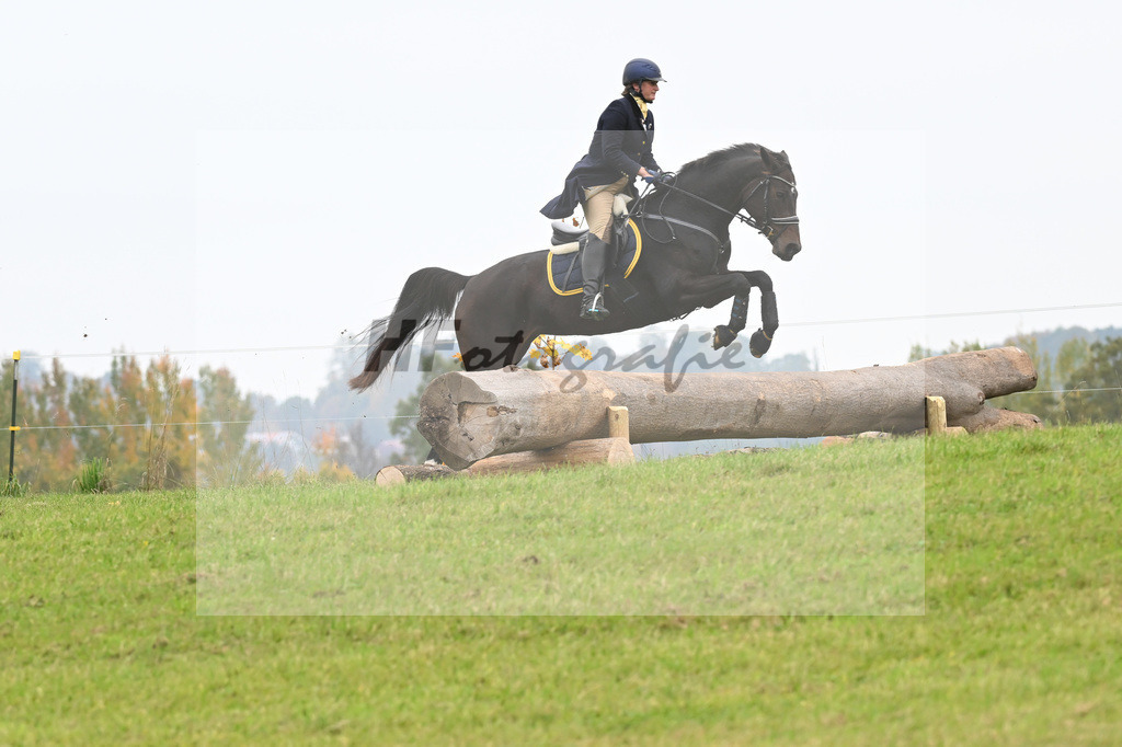 5622167 | hf-fotografie - Realisiert mit Pictrs.com