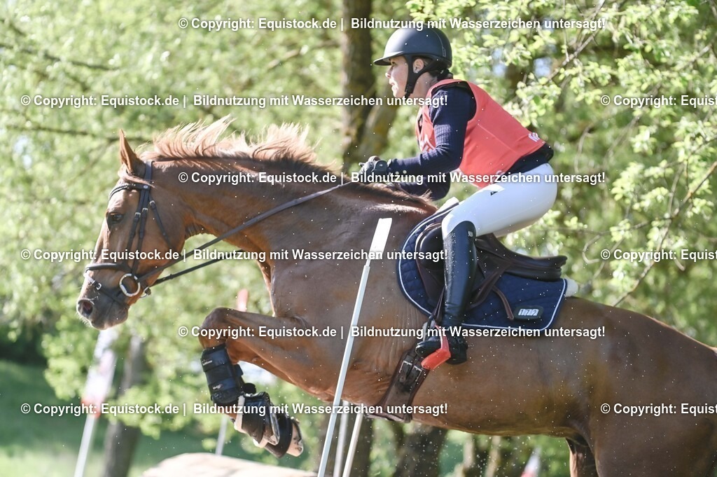 20250517_CCI2_Gelände_0332 | Foto: Thomas Hartig