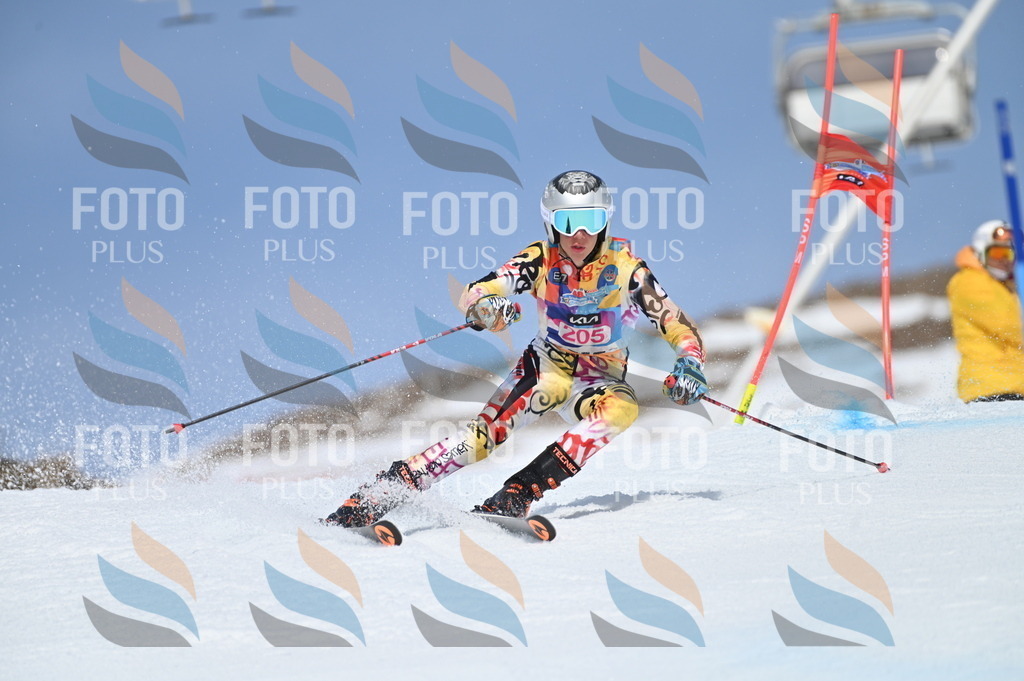 BGV_1053 | holidayphoto