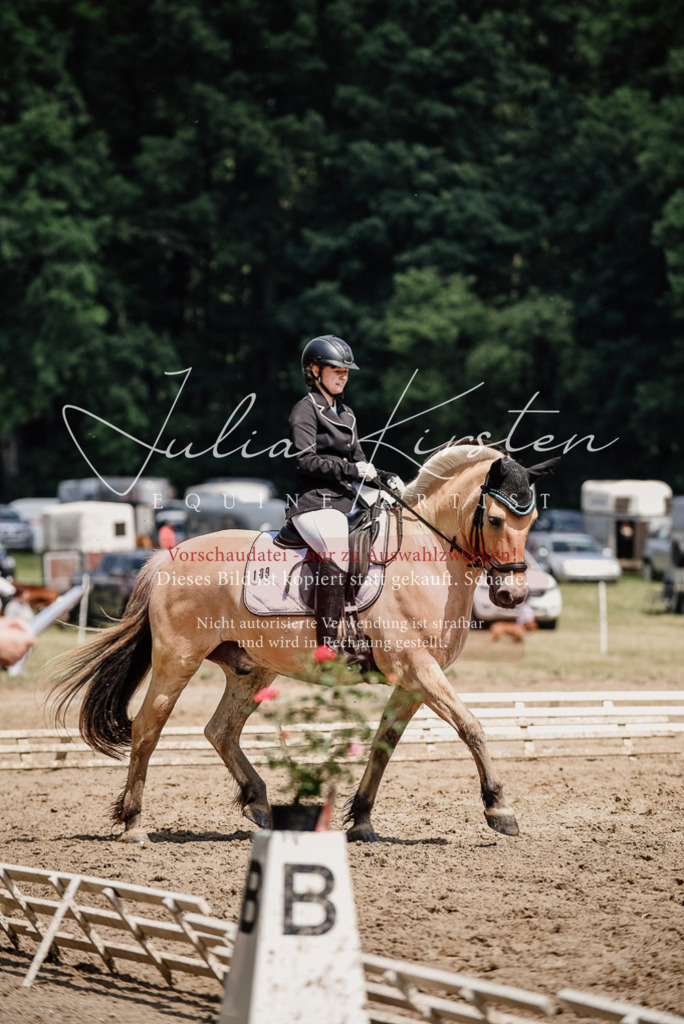 DSC_1660 | Pferde- und Turnierfotografie in Westsachsen. Pferdeportraits, Auftragszeichnungen und intuitive Kunst.