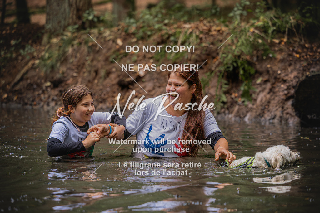 nelerasche_SaWingst1130-1200_20 | nelerasche