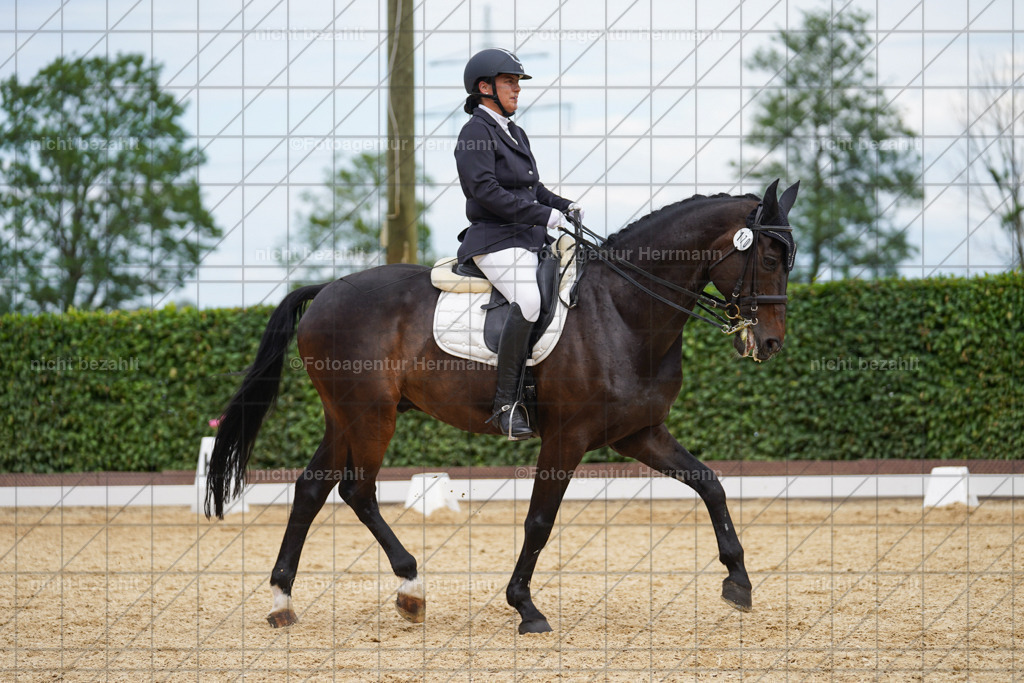 20240630-FAH02260 | Turnierbilder Schwabmünchen, Dressurbilder, Springreitturnier, Reitsportbilder, Turnierfotografen Bayern, Turnierfotograf