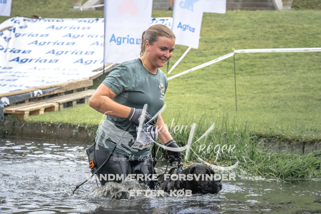 1513_ZZ94016 | kk-dogfotos
