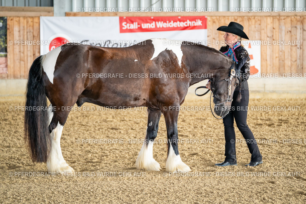 DSC07528 | Pferdegrafie