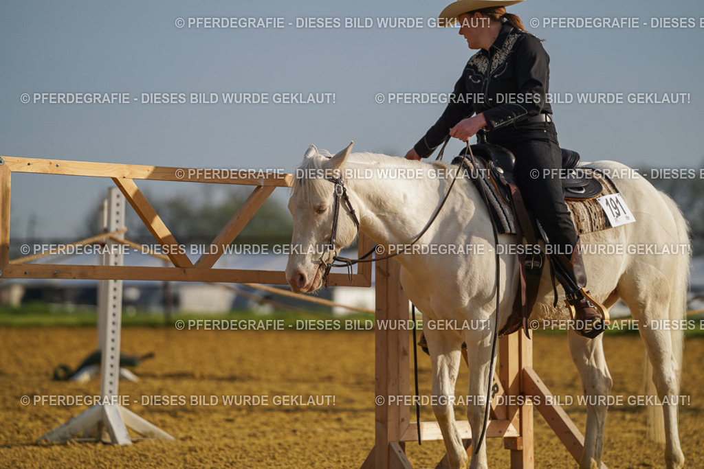 DSC00092 | Pferdegrafie