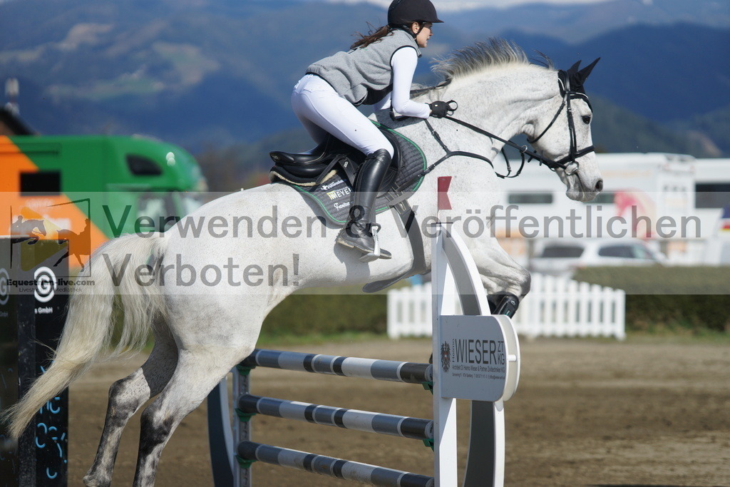 DSC03307 | equestrian-live-com