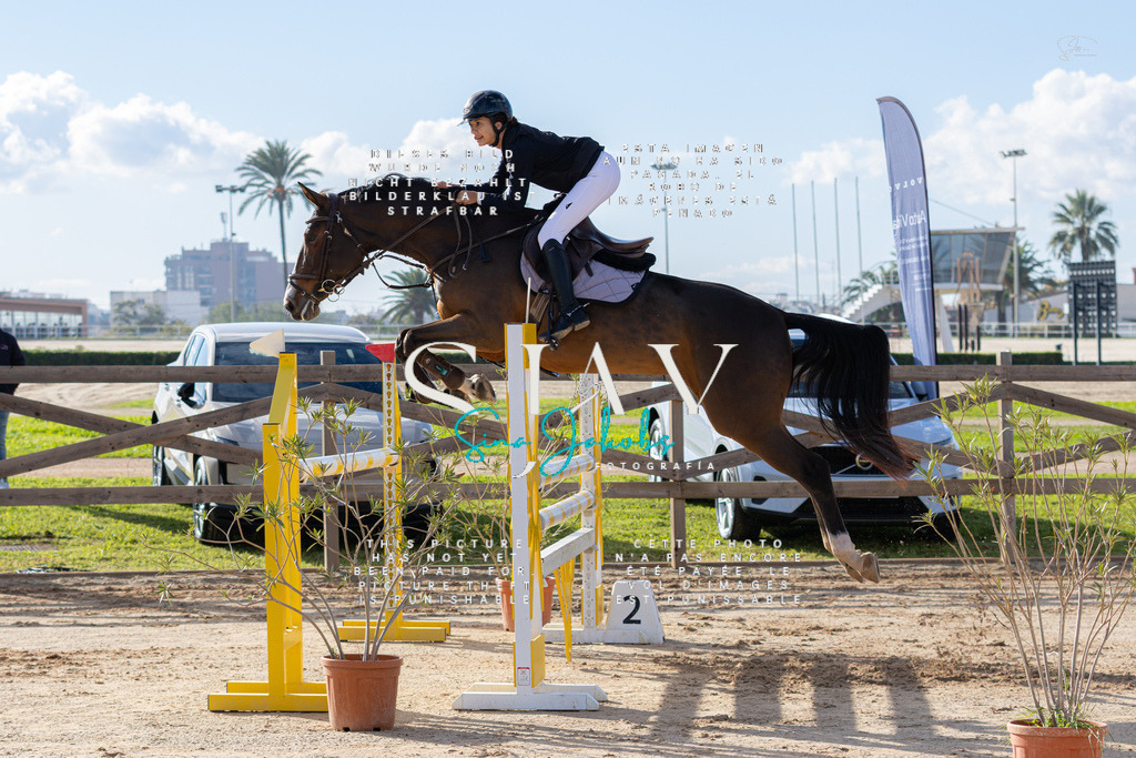 IMG_1801 | s-jay-photography - Realisiert mit Pictrs.com